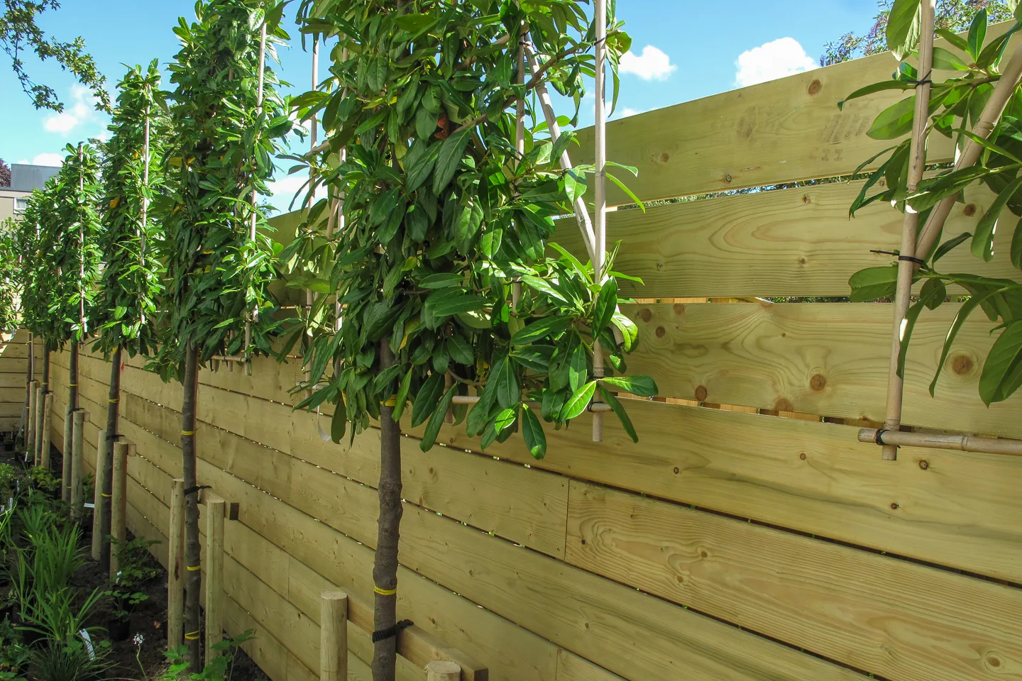Heathfield Terrace-1
