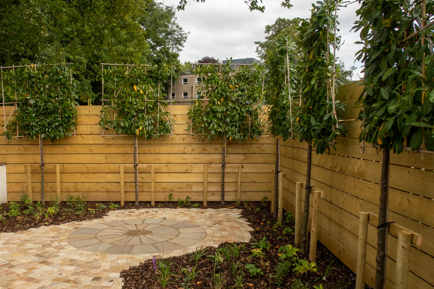 Heathfield Terrace-3