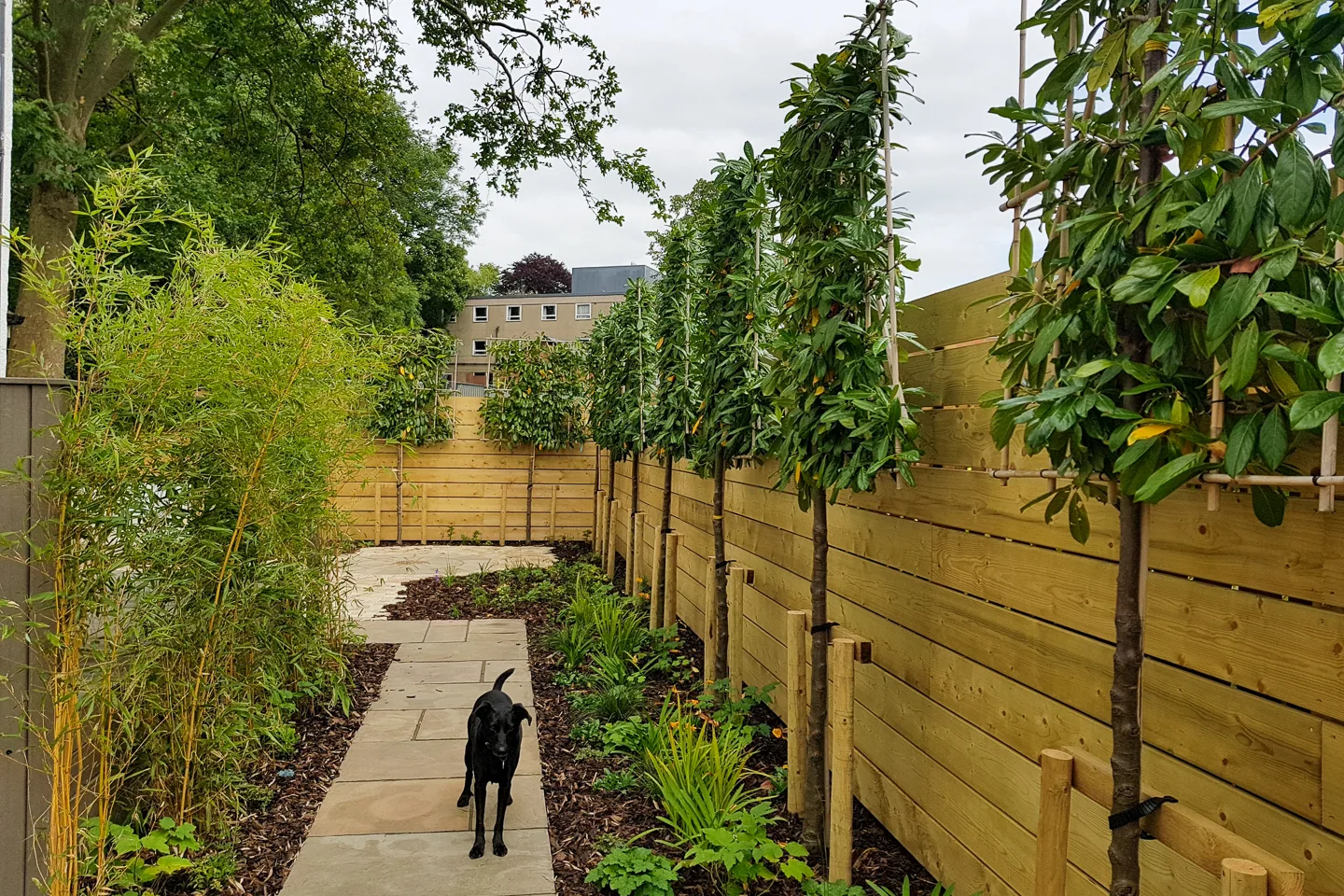 Heathfield Terrace-5