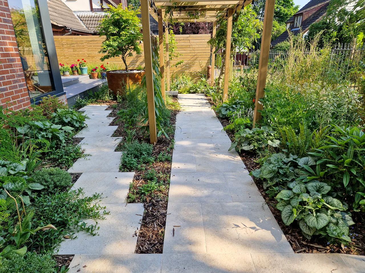 Contemporary garden design - Garden paths leading through a pergola. A large Acer palmatum in a very large planter in Alwoodley. Yorkshire Gardens, Leeds
